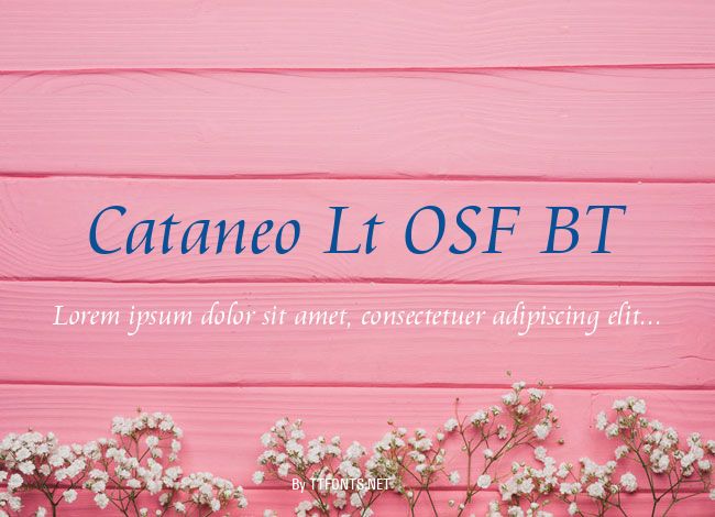 Cataneo Lt OSF BT example